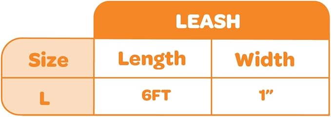 Best Pet Supplies Voyager Reflective Dog Leash or Collar with Neoprene Handle, for Small, Medium, and Large Breed Puppies, Cute and Heavy Duty for Walking, Running and Training - Pink (Leash), L