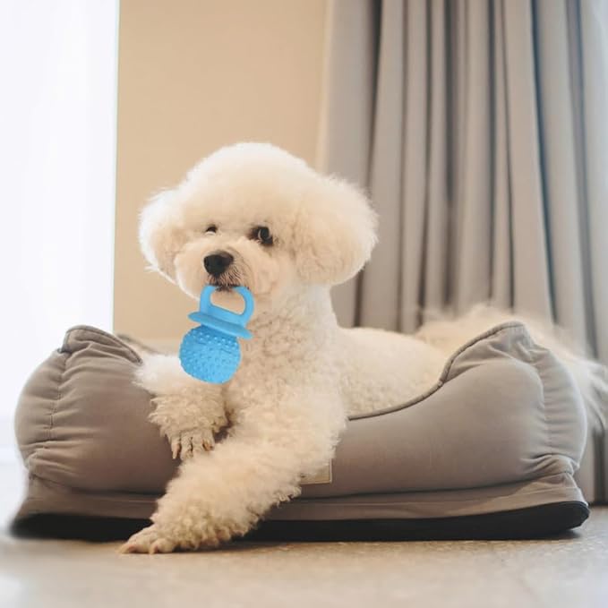 Pacifier Squeaky Dog Toys, Durable Natural Rubber Latex Dog Toy, Fetch and Tug Dog Toy, Dog Treat Toys for Boredom (Blue)