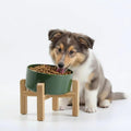 Petygooing Elevated/Raised 15°Slanted Ceramic Dog Bowl for Small and Medium Breeds, Tilted Anti Slip Pet Feeding Bowl,Food Water Dish with Stand for Cats and Dogs (28 OZ/3.6 Cups) Rust Green
