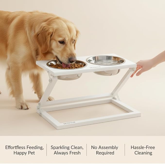 Elevated Dog Bowls, Adjustable Raised Dog Bowl Stand with 2 Stainless Steel Food Bowls 20°Tilted Water Bowls for Medium Small Sized Dogs (White, Medium)