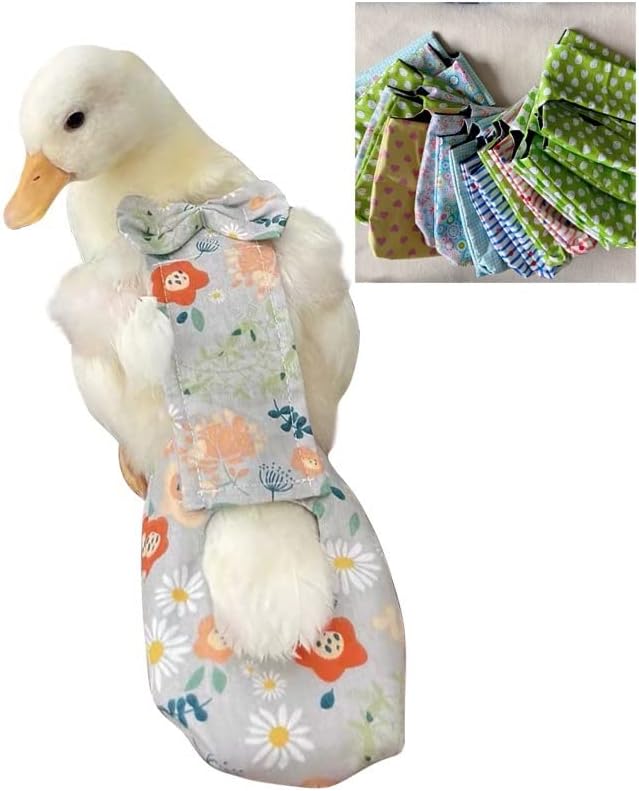 Duck and Chicken Diapers - Special Waterproof, Adjustable, Washable and Reusable for Poultry, Goose - Supplies (250g-350g)