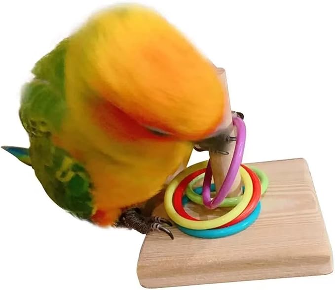 Parrot Intelligence Training Toy, Colorful Stackable Rings Interactive Bird Toy for Most Pet Birds