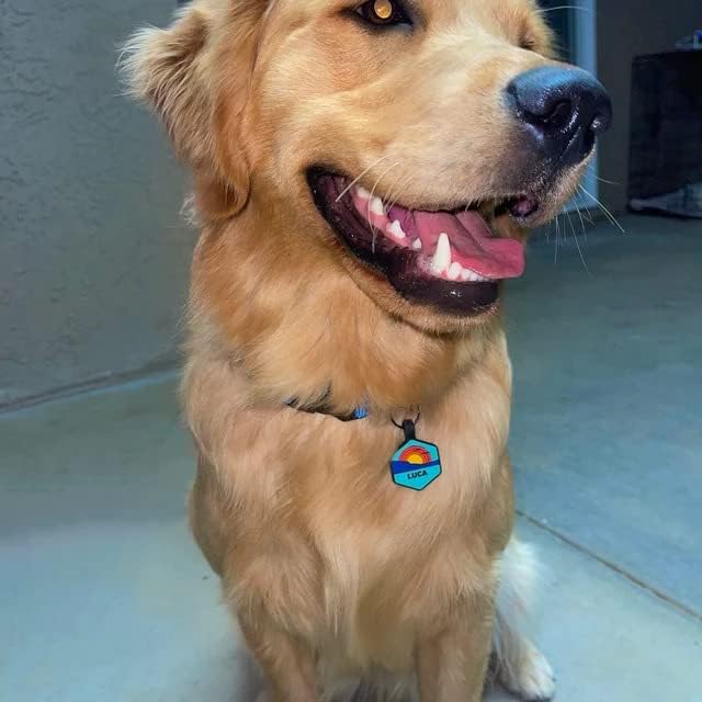 Silicone Silent Dog Tag Personalized with 5 Lines of Custom Deep Engraved Durable Soundless Pet ID Name Tag Heart Orange