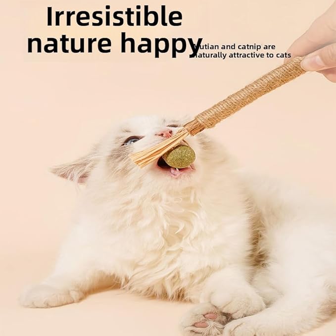 Vintage & Haven 3 Pcs Natural Silvervine Sticks Cat Toys, Catmint Silvervine Blend Sticks, Kittens Chew Toys for Teeth Cleaning, Matatabi Dental Care Cat Treat, Consumable Kitty Lick Toys (3 Pcs)
