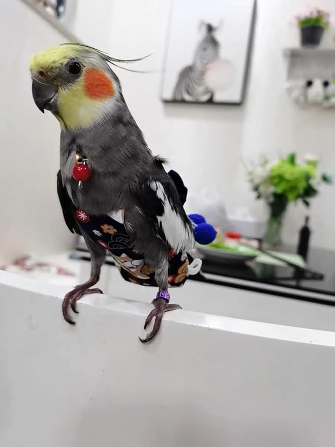 Bird Flight Suits Diapers, Parrot Flight Suits Diapers for Monk Parakeets Cockatiel Conure Lovebird Budgie, Parrot Clothes, Bird Training Nappy Suit Liners Clothes (Medium,Blue-A)