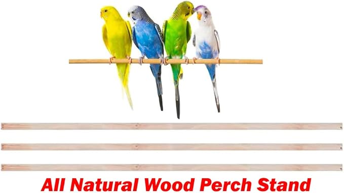 Large 36-Inch Portable Bird Flight Cage for Canary Parakeet Cockatiel Lovebird Finch Small Parrot Budgies Travel Bird Cage (White with Toy)