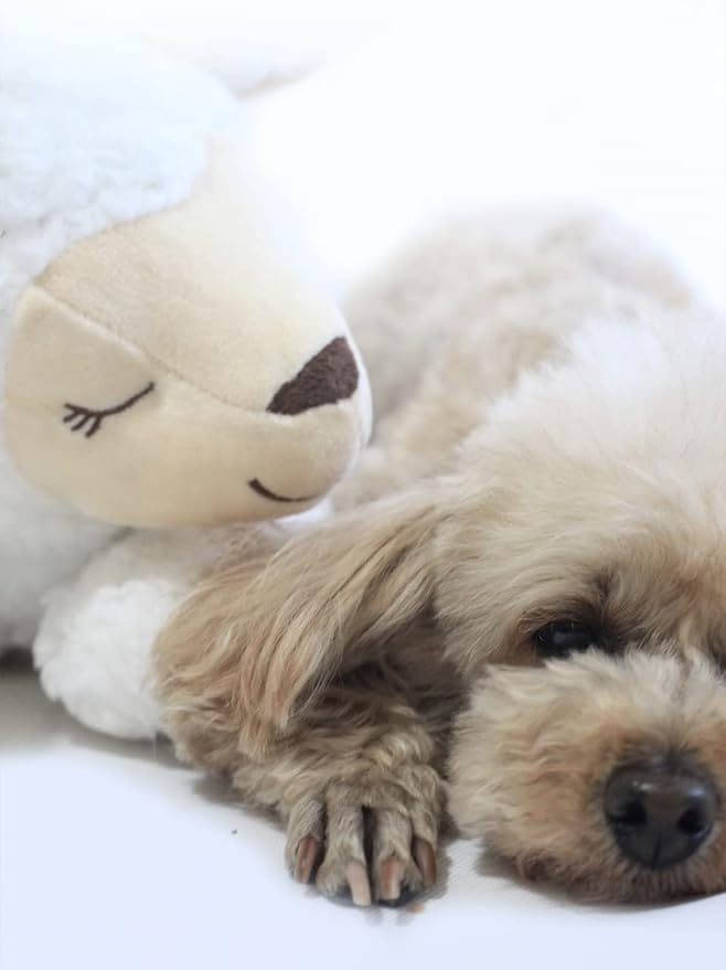 HonourHope Dog Heartbeat Toy for Anxiety Relief, Dog Soft Plush Toy Pet Calming Puppy Behavioral Training Aid Toy Pet Companion Pillow for Puppy Dog Cat Kitty Pets - Sheep