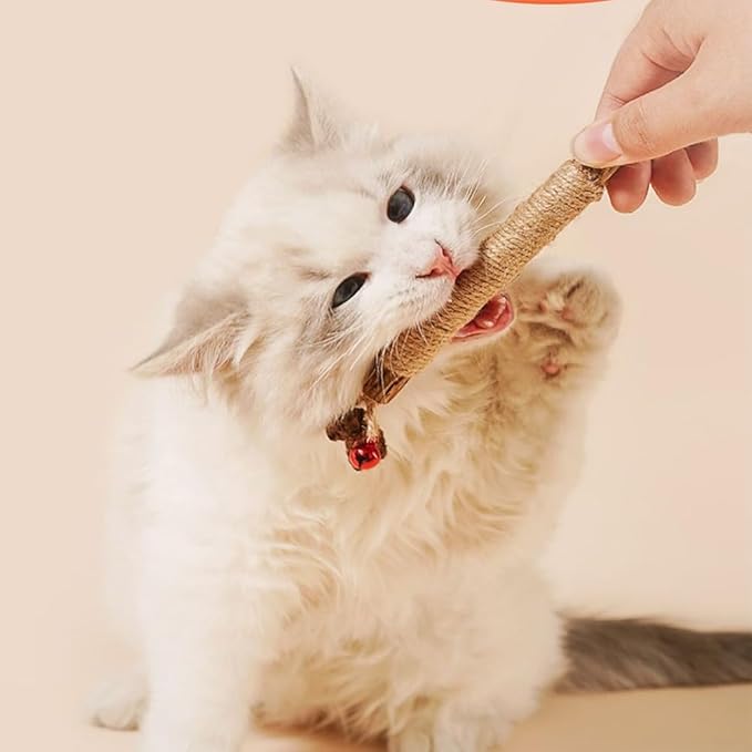 Vintage & Haven Pcs Natural Silvervine Sticks Cat Toys, Catmint Silvervine Blend Sticks, Kittens Chew Toys for Teeth Cleaning, Matatabi Dental Care Cat Treat, Consumable Kitty Lick Toys (6 Pcs)