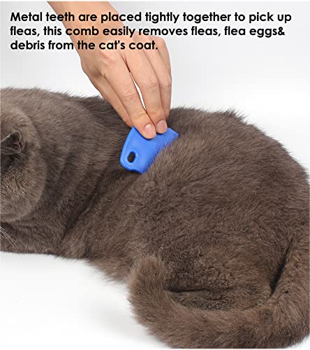 Patty Both Dog Cat Pet Lice &Flea & Nit Removal Comb/Brush, Precision Spaced Stainless Steel Teeth Locked into Sturdy Plastic Handle for Easy Cleaning(Blue)