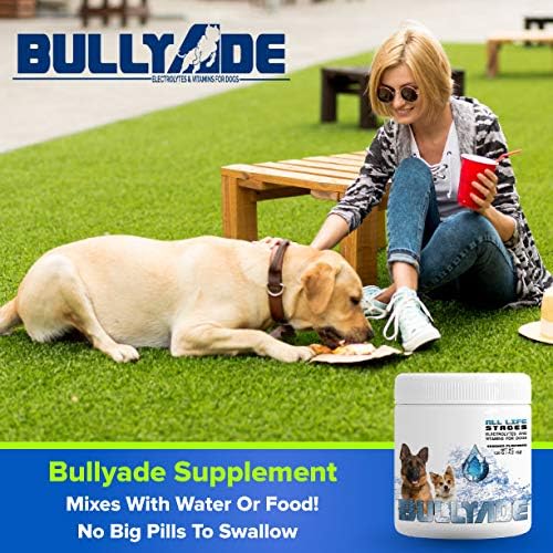 Natural Dog Supplement with 18 Vitamins & Minerals. Mixes with Water or Food. (Chicken)