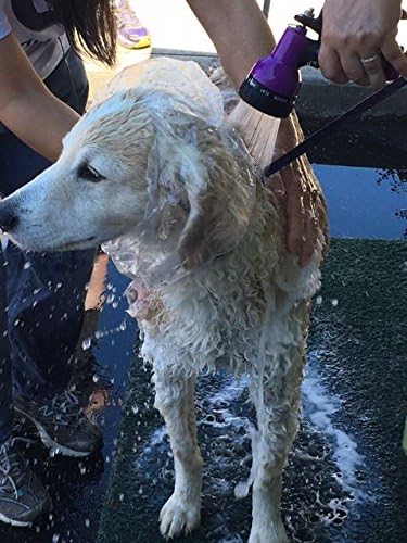 Disposable Pet Shower Caps, Shower, Raining, Swimming, Dogs, 12 Caps in a Pack (Large)