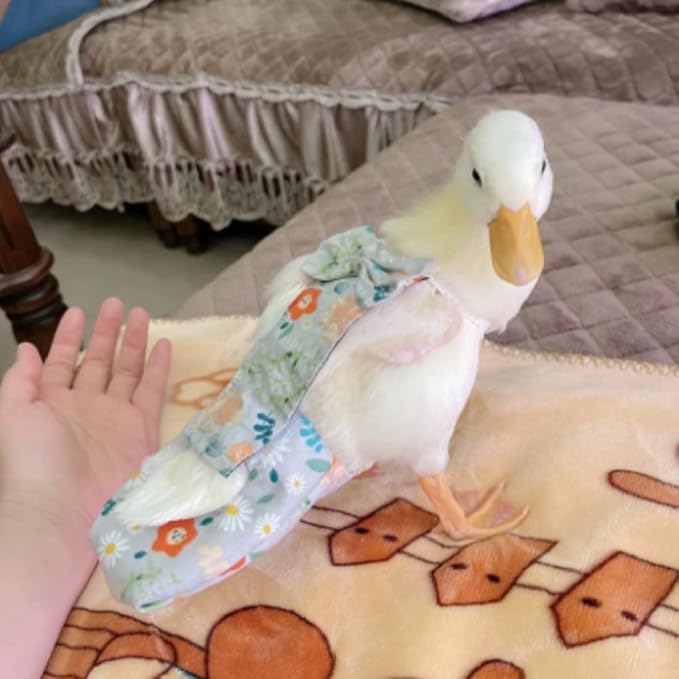 Duck & Chicken Poultry Diapers - Waterproof, Adjustable, Washable & Reusable - Duck & Goose Supplies (1.5-2kg)