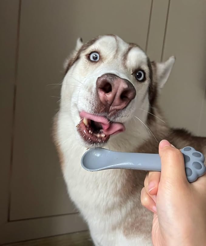 Joyinjojo 2 Pack Dog Cat Food Spoon Spatula, Cute Paw Pet Can Opener Mixing Spoons for Dog Cat Wet Food, Small Silicone Spatula Cat Treat Spoon Pet Cannd Food Scoop for Dog Cat, Grey