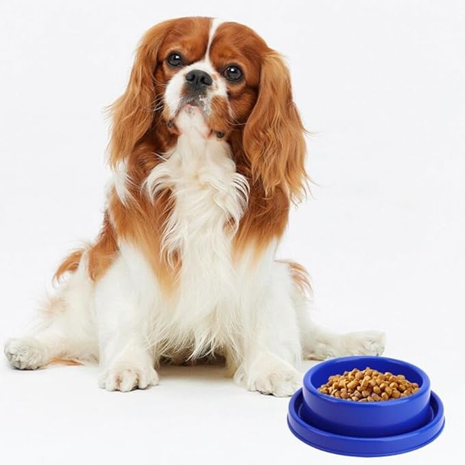Ants Away Dog Bowl Cat Puppy Food Bowls Round No Spill Eating Feeder for Small Animals Yellow M