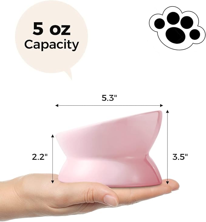 LoeJan Elevated Cat Food Bowl, 5 Oz Ceramic Raised and Tilted Water Bowl, Anti Vomiting and Protect Pets' Spines Dishes for Small Dog, Fat Faced Cat, Kitten (Pink, 1 Pack)