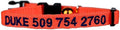 GoTags Kitty Convict Personalized Cat ID Collars (Orange, Embroidered Cat ID Collar)