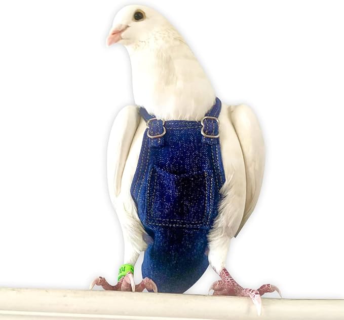 Bev's Bird Boutique Regular Flyper Adjustable Bird Diaper | Reusable, Washable Cloth | Comfort Fit for Parrot, Cockatiels, & Other Small Birds | Fashionable Avian Accessories, Dungaree Jeans, Size 3
