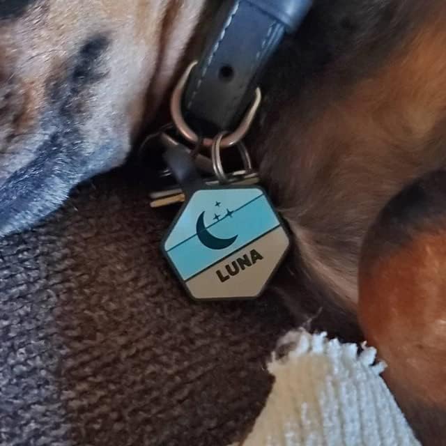 Silicone Silent Dog Tag Personalized with 5 Lines of Custom Deep Engraved Durable Soundless Pet ID Name Tag Hexagon Lime