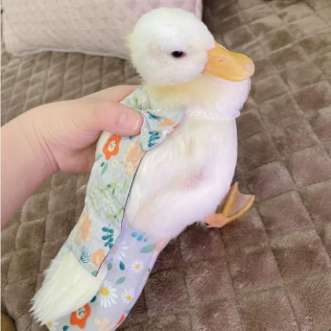 Duck and Chicken Diapers - Special Waterproof, Adjustable, Washable and Reusable for Poultry, Goose - Supplies (250g-350g)