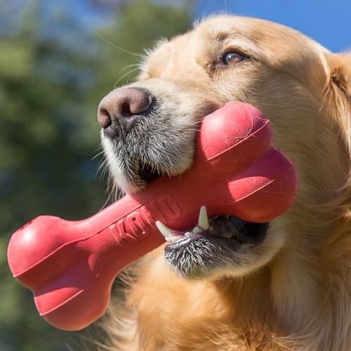 KONG Goodie Bone - Classic Durable Natural Rubber Dog Bone, Supports Mental Engagement - Treat Dispensing - Red - for Small Dogs (Pack of 2)