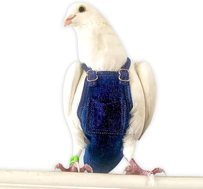 Bev's Bird Boutique Regular Flyper Adjustable Bird Diaper | Reusable, Washable Cloth | Comfort Fit for Parrot, Cockatiels, & Other Small Birds | Fashionable Avian Accessories, Dungaree Jeans, Size 14