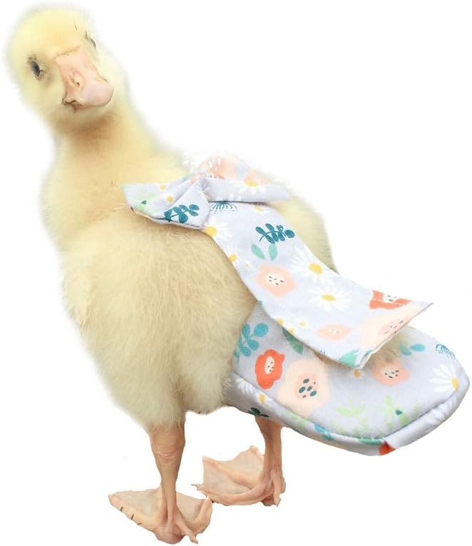Poultry Diapers, Waterproof, Adjustable, Washable & Reusable - Duck, Chicken & Goose Supplies (2XL:450g-600g)