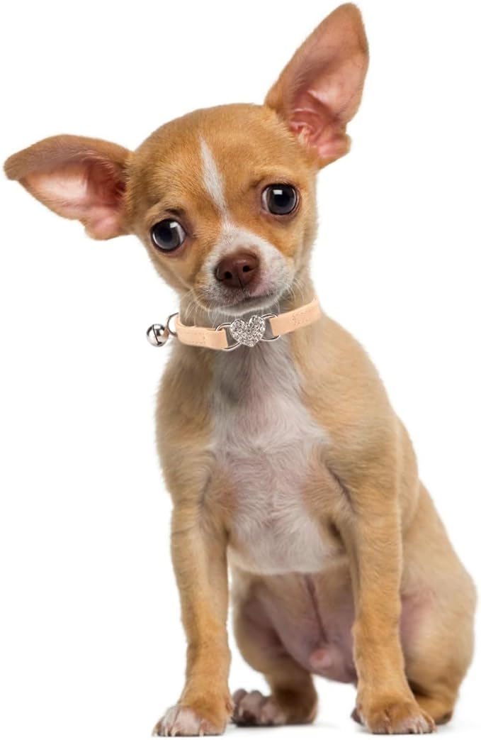Puppy Collar with Bell, Bling Diamond Heart Soft Velvet Cat Collars with Bells for Xs Tiny Dogs Girls Pet Kitten Khaki