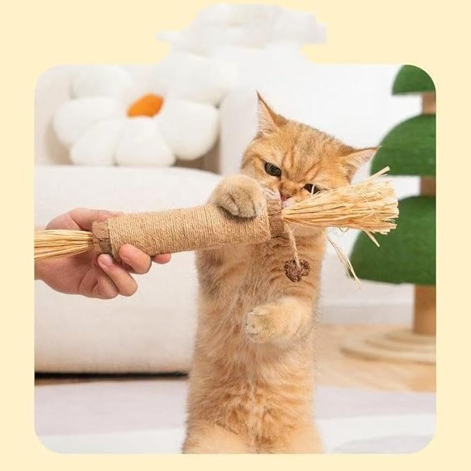 Interactive Cat Catnip Chew Toys, Natural Silvervine Teething Sticks, Jute Rope Wrapped Dental Care with Raffia Tassels (1 Thick& 3 Tiny)