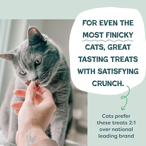 Shameless Pets Digestive Health Catnip Chicken Crunchy Cat Treats (Pack of 2)