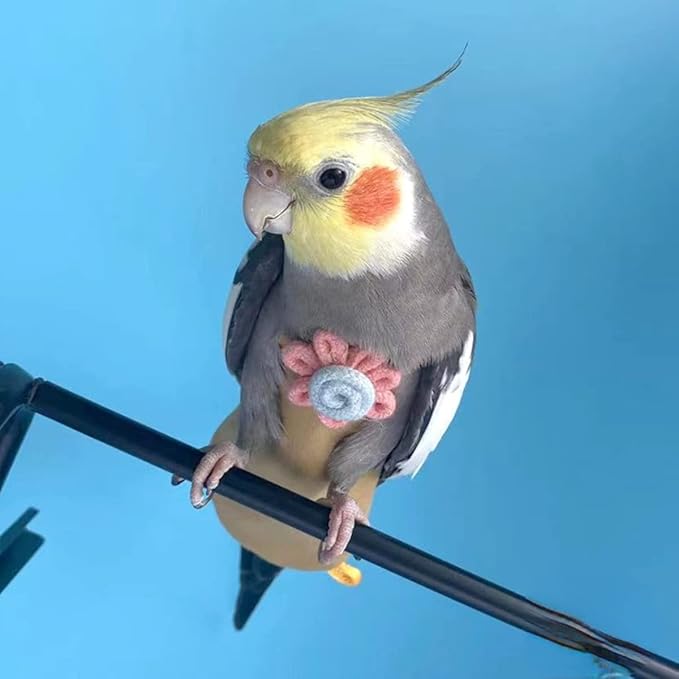 Bird Diaper Harness Flight Suit Clothes with Flying Leash for Parrots Cockatiel Pet Birds, Parrot Clothes, Bird Training Nappy Suit Liners Clothes (Large,Yellow)