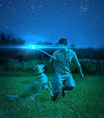 Chuckit! Glow in the Dark Bouncy Balls - Ball for Dogs, Chuckit Dog Toy, Max Glow Balls - Small, 2 Inch, Pack of 1
