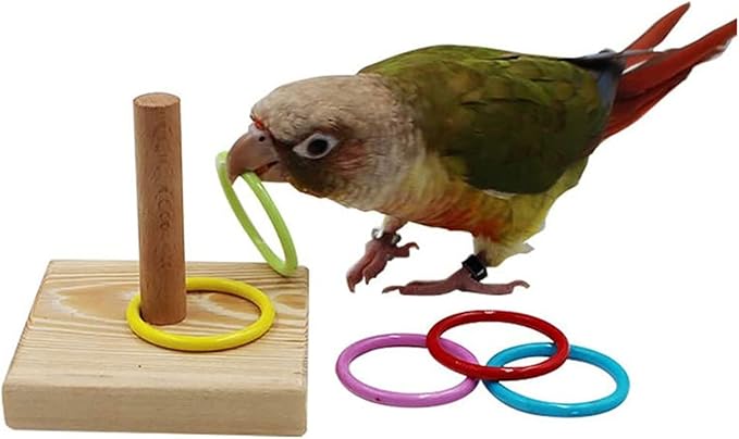 Parrot Intelligence Training Toy, Colorful Stackable Rings Interactive Bird Toy for Most Pet Birds
