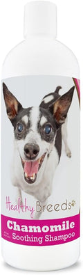 Healthy Breeds Rat Terrier Chamomile Soothing Dog Shampoo 8 oz