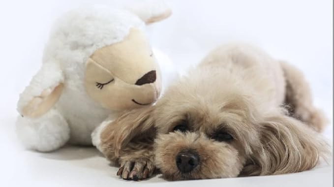 HonourHope Dog Heartbeat Toy for Anxiety Relief, Soft Plush Pet Calming Aid - Sheep