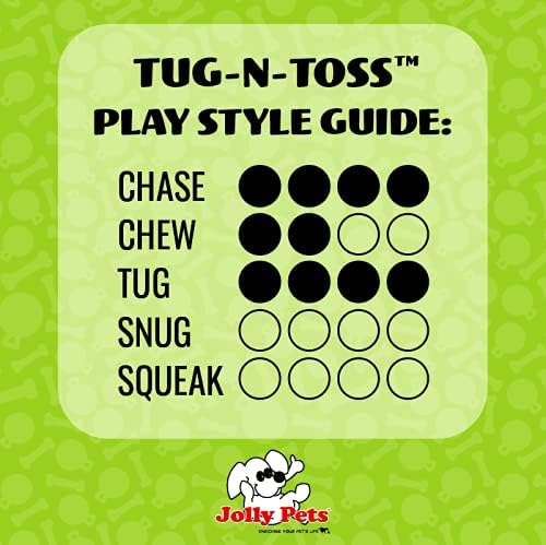 Jolly Pets Tug-n-Toss Heavy Duty Dog Toy Ball with Handle, 6 Inches/Medium, Purple