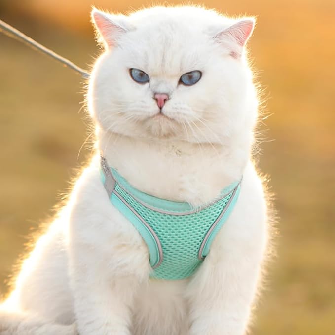 Cat Harness and Leash Set Soft Adjustable Escape Proof Cat Leash Breathable Comfortable Vest Easy to Wear Kitten/Small Dogs Harness for Outdoor Walking