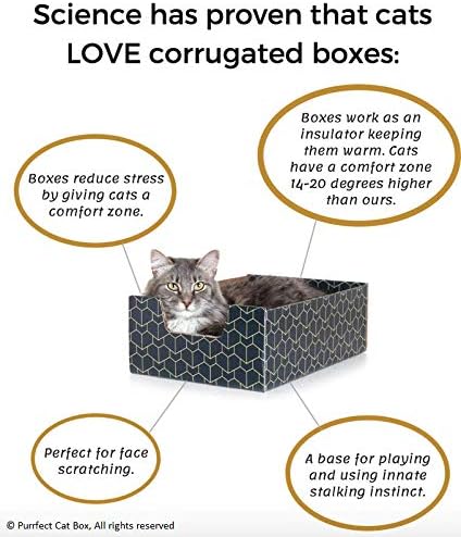 Purrfect Cat Box Modern Cat Box Lounger with Peek-a-Boo Cutout | Premium Corrugated Cardboard Cat Bed for Sleeping and Relaxation | Interactive Board Box for Indoor Kittens and Small Pets, Blue