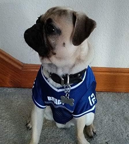 LuckyPet Klippy Pet Tag Quick Clips - Cat & Dog Collar for ID Tags Holder Efficient Ring Attachment Clip for Safety - Black, 2 Pack