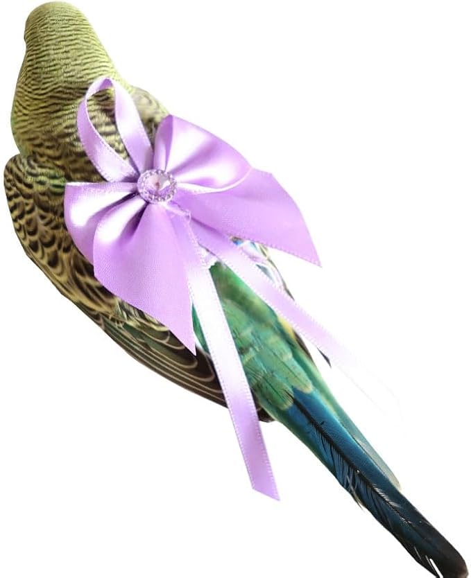 6pcs Bow Bird Diaper Set, Soft Reusable Flight Suit Clothing for Parrots Budgies Cockatiels — Cleaner Indoor Bonding & Training (M)