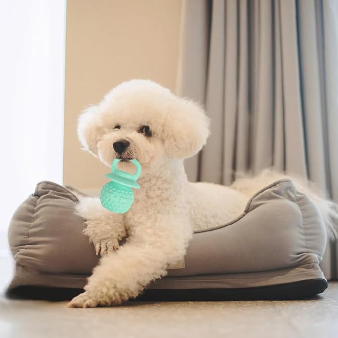 Pacifier Squeaky Dog Toys, Durable Natural Rubber Latex Dog Toy, Fetch and Tug Dog Toy, Dog Treat Toys for Boredom (Green)