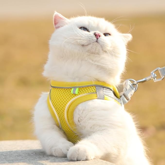 Cat Harness and Leash Set Soft Adjustable Escape Proof Cat Leash Breathable Comfortable Vest Easy to Wear Kitten/Small Dogs Harness for Outdoor Walking