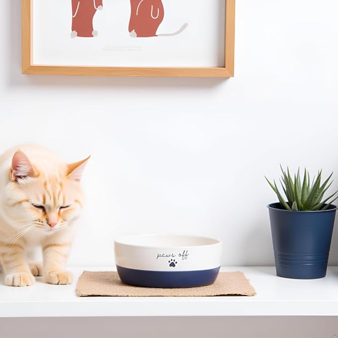 Pearhead Ceramic Paws Off Cat Bowl, Holds 1.3 Cups, Navy Blue and White Stoneware Dish, Non-Skid Feeding Bowl, Microwave and Dishwasher Safe, Small (Pack of 2)