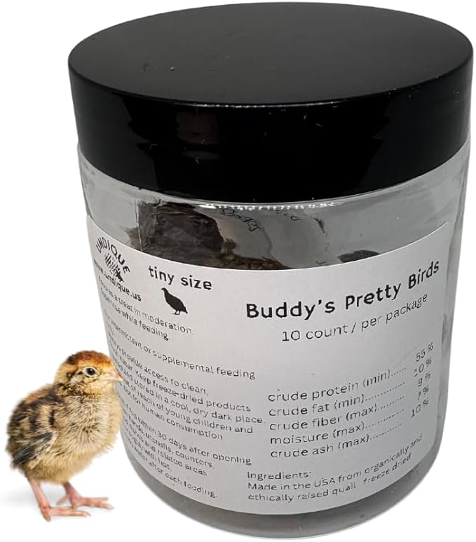 Undique Whole Quail for Carnivore Pets - Premium Quality Natural Pet Treats - Natural Prey Feeding - Freeze-Dried for Essential Nutrients and Enzymes - Quality Protein Source Tiny Size 10 Count