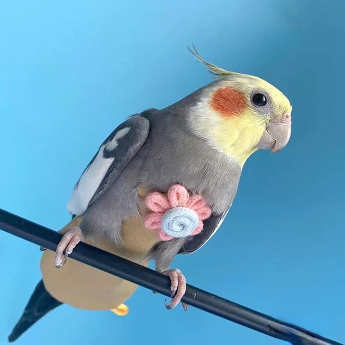 Bird Diaper Harness Flight Suit Clothes with Flying Leash for Parrots Cockatiel Pet Birds, Parrot Clothes, Bird Training Nappy Suit Liners Clothes (Large,Yellow)