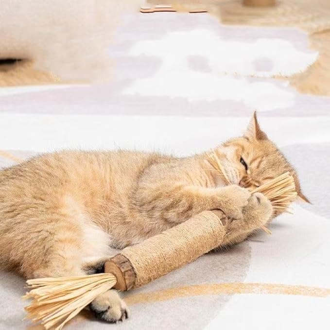 Interactive Cat Catnip Chew Toys, Natural Silvervine Teething Sticks, Jute Rope Wrapped Dental Care with Raffia Tassels (1 Thick& 3 Tiny)