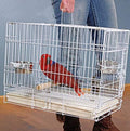 Large 23.5"x16.5"x20"H Travel Vet Bird Parrot Easy Foldable Metal Cage Carrier with Stainless Bowls and Wooden Stand Perch Prevent Beaks Out