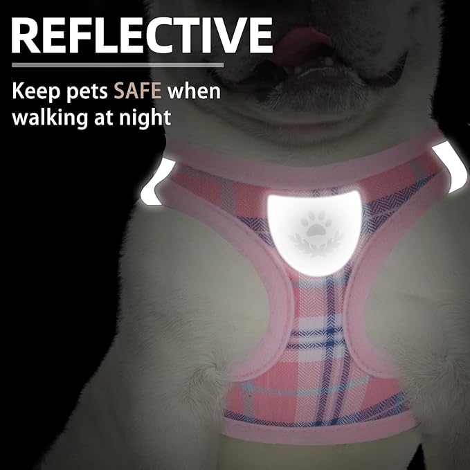 PUPTECK Adjustable Dog Harness Collar and Leash Set Step in No Pull Pet Harness for Small Medium Dogs Puppy and Cats Outdoor Walking Running, Soft Mesh Padded Reflective Vest Harnesses, Pink XXS