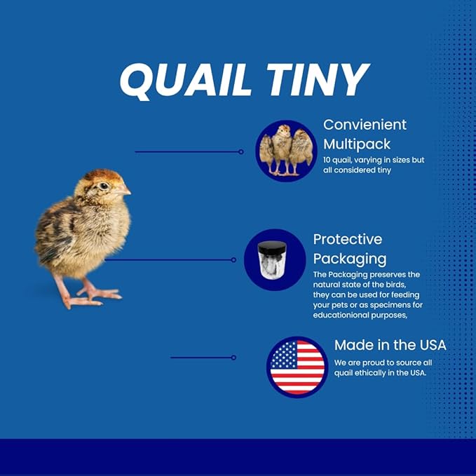 Undique Whole Quail for Carnivore Pets - Premium Quality Natural Pet Treats - Natural Prey Feeding - Freeze-Dried for Essential Nutrients and Enzymes - Quality Protein Source Tiny Size 10 Count