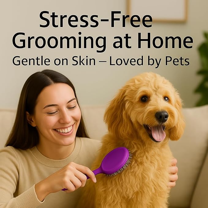 Round Bristle Pet Brush for Dogs and Cats - Soft Dog Brush for Grooming Short or Long Hair - Gentle Tool for Sensitive Skin Removes Dander, Dirt, and Detangles (Purple)