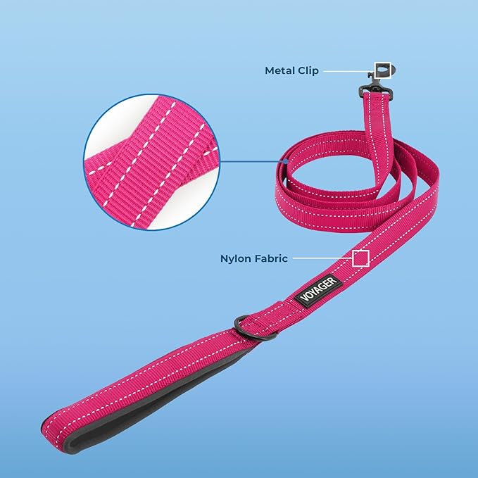 Best Pet Supplies Voyager Reflective Dog Leash or Collar with Neoprene Handle, for Small, Medium, and Large Breed Puppies, Cute and Heavy Duty for Walking, Running and Training - Fuchsia (Leash), S
